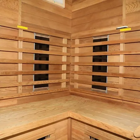 La Cigale Et Le Grillon * ブイヨン