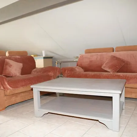 La Cigale Et Le Grillon * ブイヨン